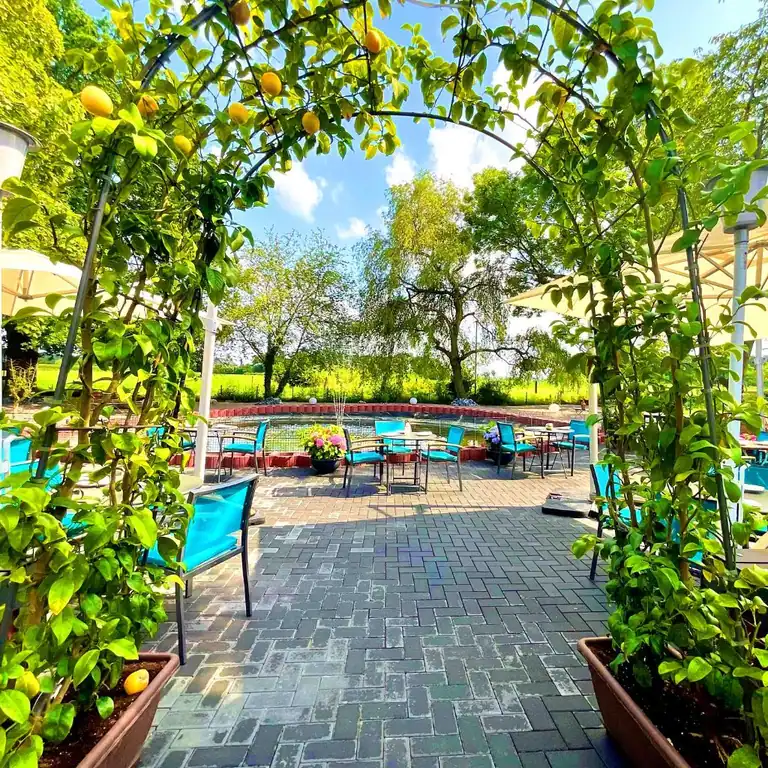 Sonnige Terrasse des Kastanienhofs in Moers mit Zitronenbäumchen, türkisfarbenen Stühlen und Teich im Grünen